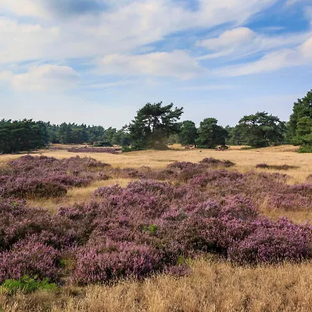 Holiday Recreatiepark De Boshoek.4 Holiday home Voorthuizen